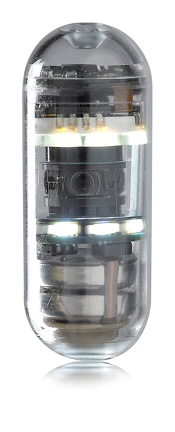 capsocamplus